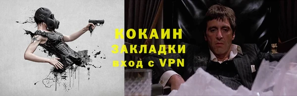 меф Ельня