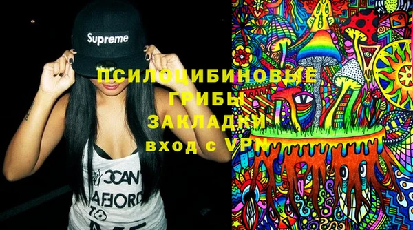 меф Ельня