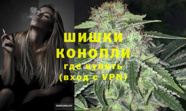 меф Ельня