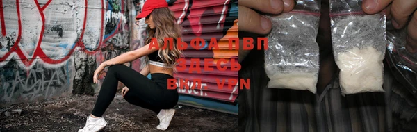 spice Елизово