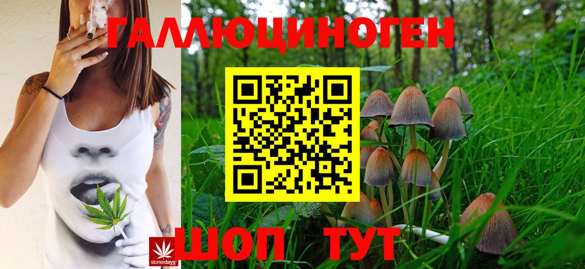 ТГК Спасск-Дальний